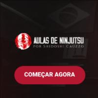 Imagem do curso Aulas de Minjutsu por Shidoshi Caúzzo