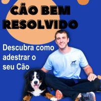 Imagem do curso Cão Bem Resolvido