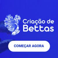 Imagem do curso Criação de Bettas