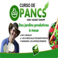 Imagem do curso Curso de PANCs - Dos Jardins Produtivos à Mesa