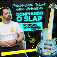 Imagem do curso Dominando o Slap