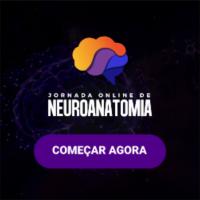 Imagem do curso Jornada Online de Neuroanatomia