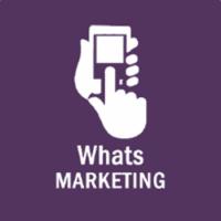 Imagem do curso Plano de Ação | Whats Marketing